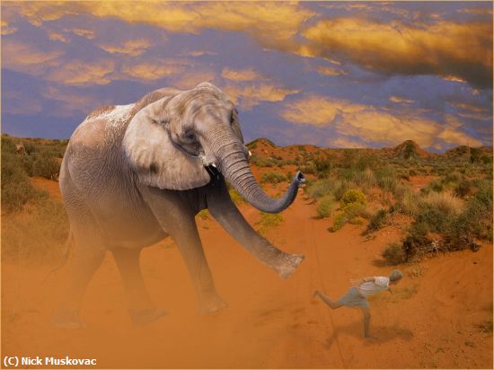 Missing Image: i_0029.jpg - Elephant-Attack