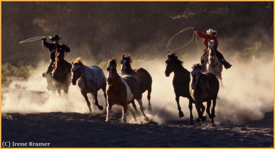 Missing Image: i_0035.jpg - Riders of the Purple Sage