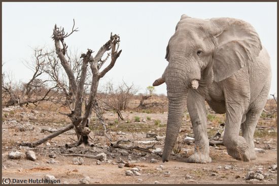 Missing Image: i_0012.jpg - The-Destroyer-Namibia