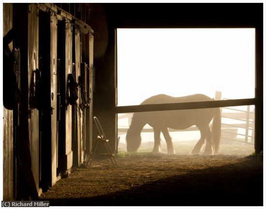 Missing Image: i_0020.jpg - SUNRISE AT THE STABLE