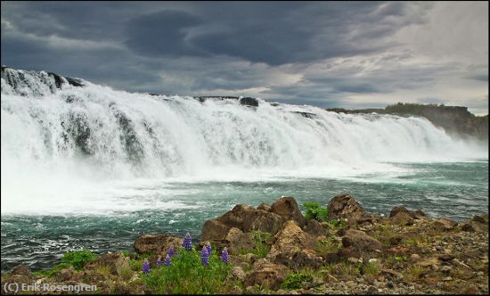 Missing Image: i_0022.jpg - Lupine-and-Waterfalls