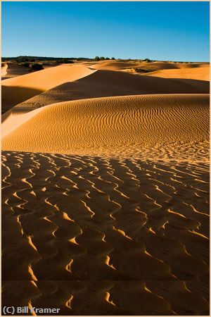 Missing Image: i_0020.jpg - Sand Dunes At Dawn