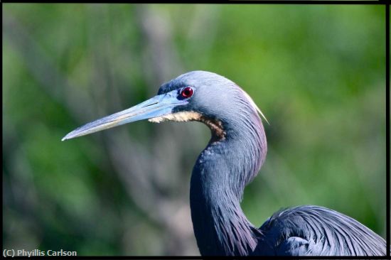 Missing Image: i_0033.jpg - HERON