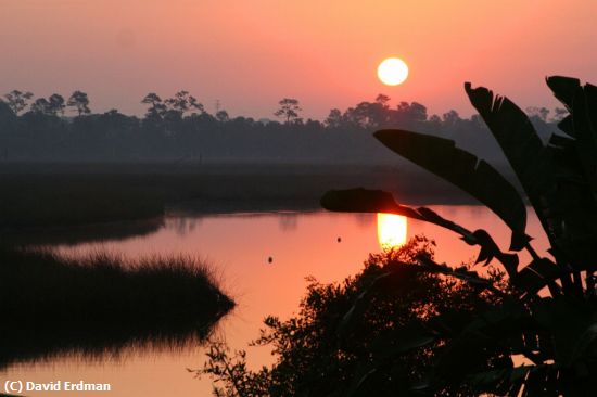 Missing Image: i_0071.jpg - Riveredge Sunrise