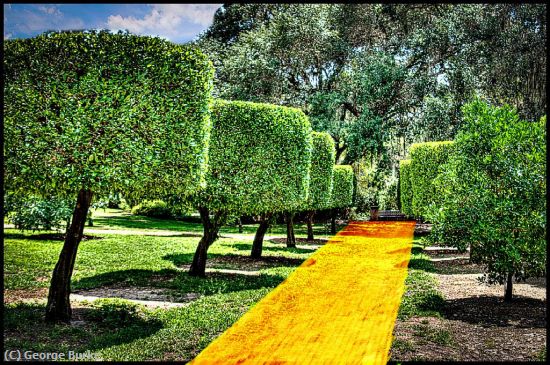 Missing Image: i_0001.jpg - Yellow Brick Road