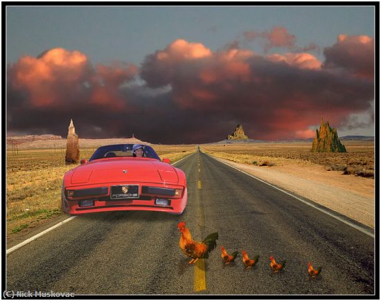 Missing Image: i_0039.jpg - Danger Chicken Crossing