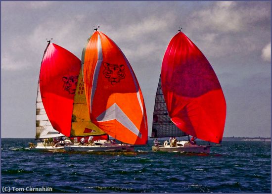 Missing Image: i_0052.jpg - Spinnaker-Duel