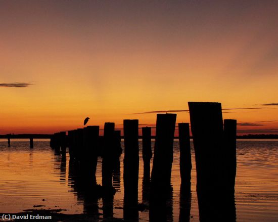 Missing Image: i_0037.jpg - Dunedin Sunset