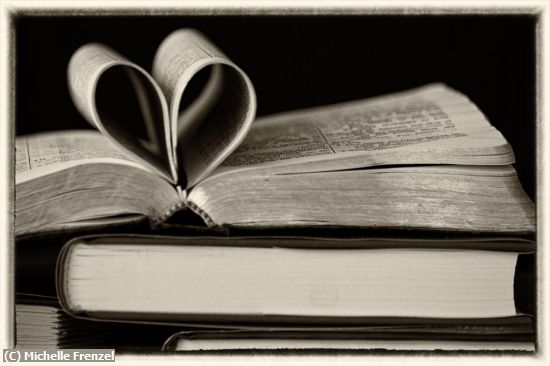 Missing Image: i_0024.jpg - For the Love of Books