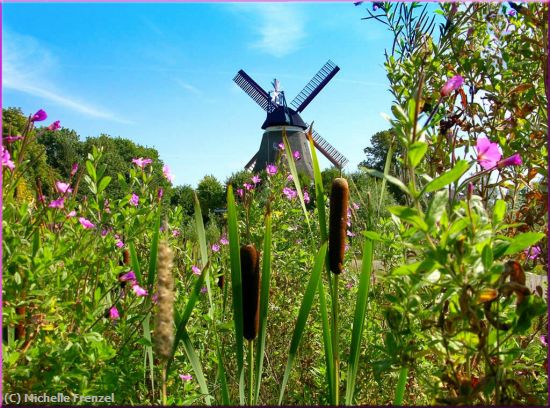 Missing Image: i_0048.jpg - Freisland Windmill