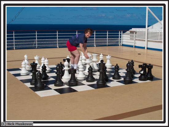 Missing Image: i_0049.jpg - Check Mate