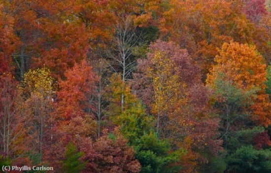 Missing Image: i_0057.jpg - FALL IN THE MOUNTAINS