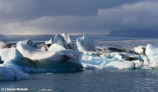 Missing Image: i_0064.jpg - Glacial Foot