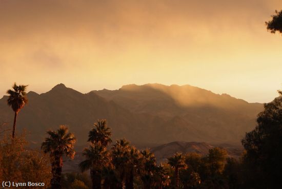 Missing Image: i_0045.jpg - Death-Valley-Sunrise