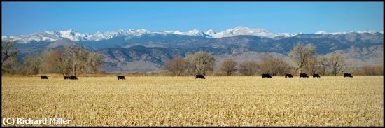 Missing Image: i_0028.jpg - THE-ROCKIES