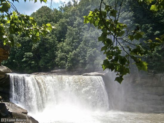 Missing Image: i_0038.jpg - Cumberland Falls