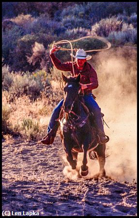 Missing Image: i_0005.jpg - Riding & Roping