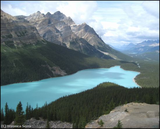 Missing Image: i_0016.jpg - Peyto Lake in the Canadian Rockies