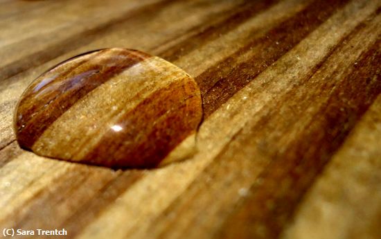 Missing Image: i_0029.jpg - Drop On Wood