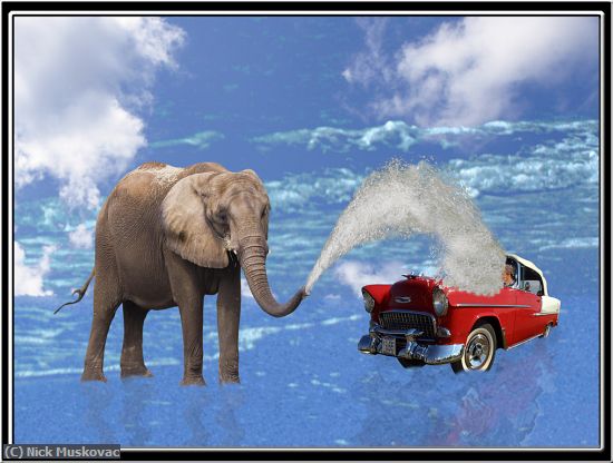 Missing Image: i_0001.jpg - Elephant-Car-Wash