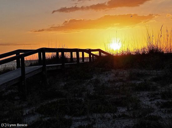 Missing Image: i_0034.jpg - Beach-Sunset