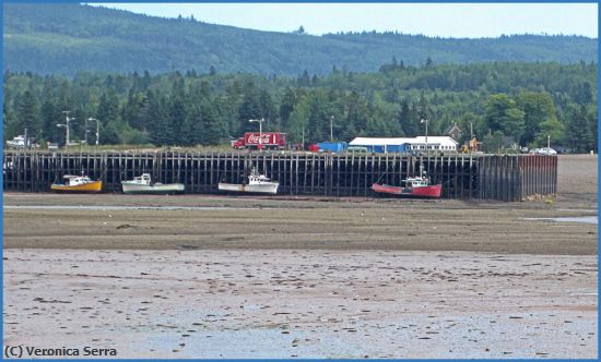 Missing Image: i_0037.jpg - Low Tide in Nova Scotia