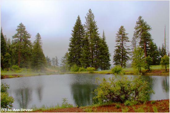 Missing Image: i_0071.jpg - Hells Canyon Lake