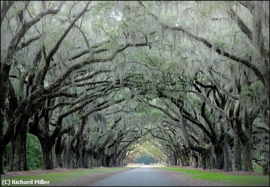 Missing Image: i_0002.jpg - MAJESTIC-OAKS