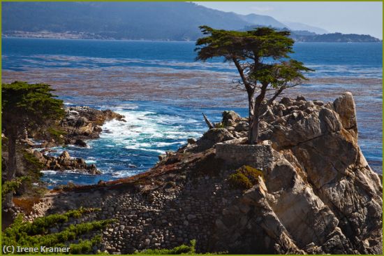 Missing Image: i_0036.jpg - Lone Cypress at Monterey
