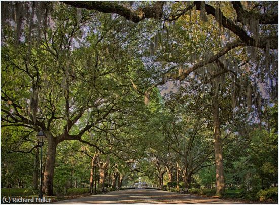 Missing Image: i_0008.jpg - Savannah-Park-Scene