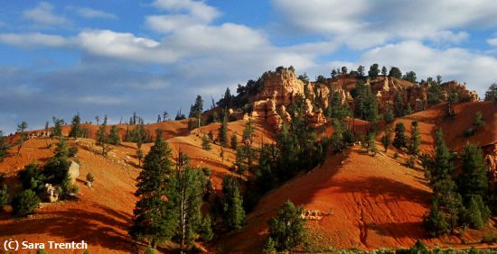 Missing Image: i_0016.jpg - BryceCanyon