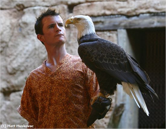 Missing Image: i_0046.jpg - Eagle with Handler