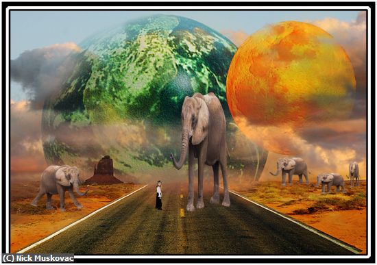 Missing Image: i_0006.jpg - Planet-of-the-Elephants