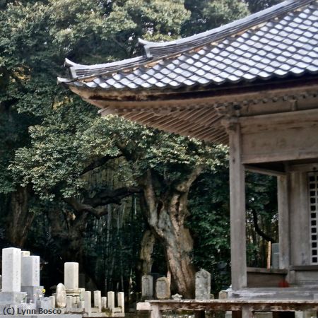 Missing Image: i_0045.jpg - Japanese Shrine