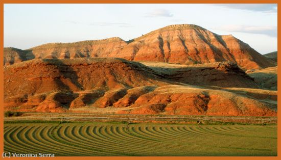 Missing Image: i_0007.jpg - Farm in Bighorn, Wyoming