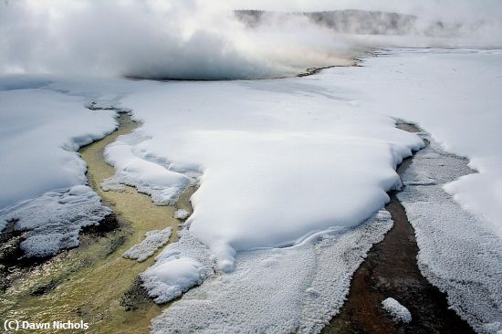 Missing Image: i_0037.jpg - Yellowstone Winter