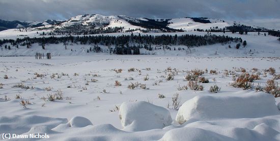 Missing Image: i_0023.jpg - Winter in Yellowstone