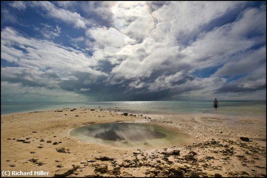 Missing Image: i_0027.jpg - TIDAL-POOL