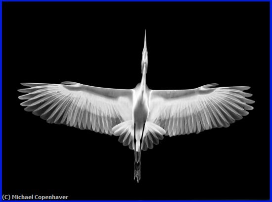 Missing Image: i_0035.jpg - WIDE OPEN