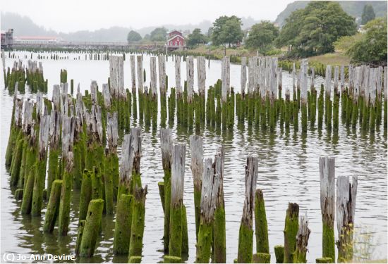 Missing Image: i_0005.jpg - Pilings