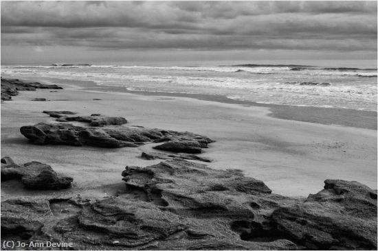 Missing Image: i_0040.jpg - Washington Oaks Beach