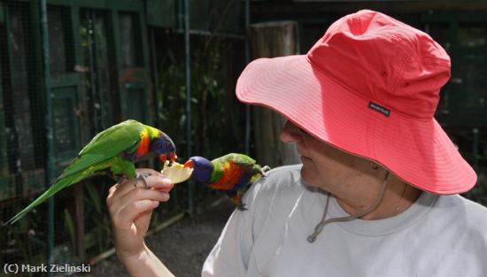 Missing Image: i_0017.jpg - Feeding The Birds