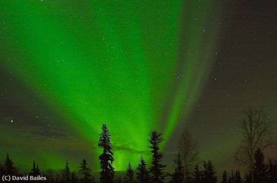 Missing Image: i_0026.jpg - FAIRBANKS,ALASKA