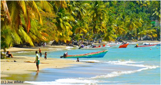 Missing Image: i_0043.jpg - Caribbean Fishing Boats