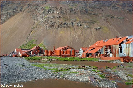 Missing Image: i_0032.jpg - Stromness Whaling Station