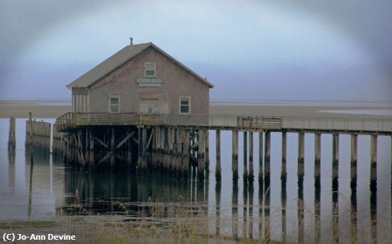 Missing Image: i_0049.jpg - Old Fishing Pier