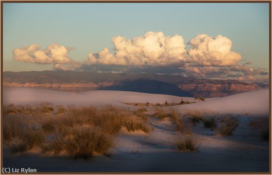 Missing Image: i_0057.jpg - White-Sands,-New-Mexico