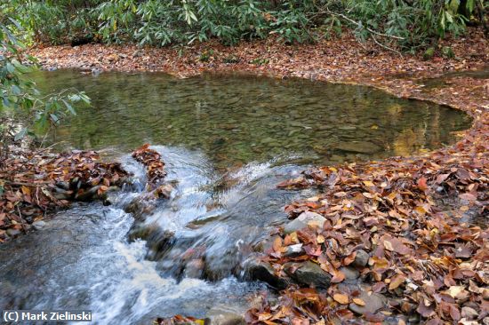 Missing Image: i_0027.jpg - Fall Leaves Around A Pond