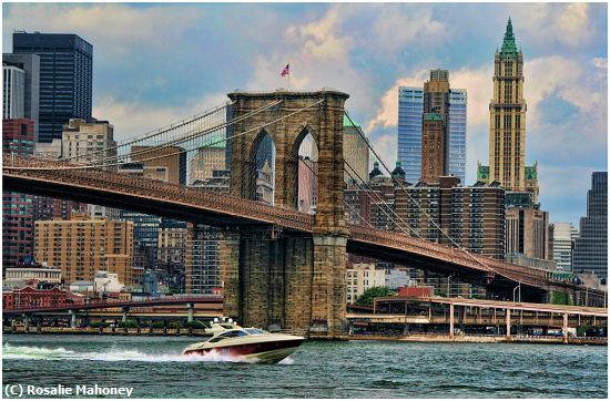 Missing Image: i_0018.jpg - Traveling Under the Bridge