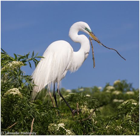 Missing Image: i_0033.jpg - Holding a Stick